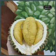 Best Seller Durian Fresh Musang King - Utuh Bulat Ready Kak