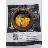 Oil Seal Tc 65+390+313mm Viton
