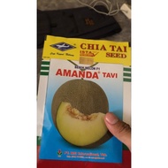 |NEWBEST| Benih Melon Amanda Tavi