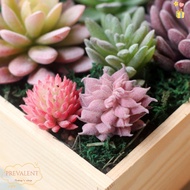 PREVALENT Fake Plant Home Decor Vivid DIY Garden Cactus