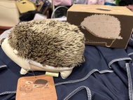 T'porcupine 刺蝟造型 CD 收納包