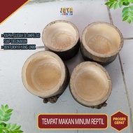 Water dish Feeding / Gecko dish / Reptile food and drink place