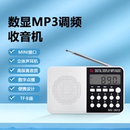 Bao Sheng BS-2613Outdoor Card Slot Speaker MP3Player fm FM Multi-Function Radio