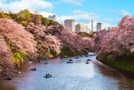 東京丸之內四季飯店Four Seasons Hotel Tokyo at Marunouchi