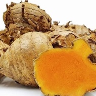 Fresh organic temulawak temulawak d take from nature