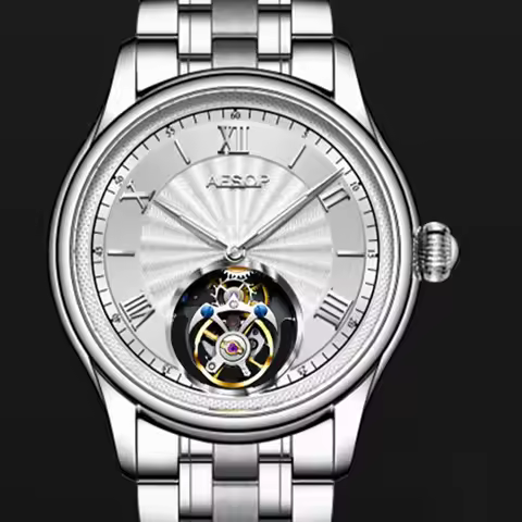 Aesop Tourbillon Movement Skeleton Mechanical Wrist Watch For Men Luxury Brand Waterproof Sports Wat