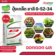 (25กก.) ชาลีเฟรท ชาลีโกร โซลูม๊อบ 0 52 34 ปุ๋ยโพแทสเซียม ปุ๋ยเคมี ปุ๋ยเกล็ดชนิดผง โพแทสเซียมคลอไรด์