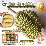 (水果)越南干堯榴槤4顆/8.5kg原裝箱
