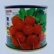 【大目】進口櫻桃蘿蔔種子 種籽甜脆水果蘿蔔生吃小紅蘿蔔種子 種籽春秋季蔬菜種子 種籽hxmm