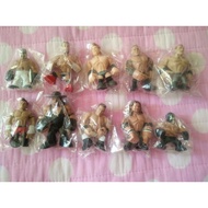 WWE Professional Wrestling Handmade Model Doll 10 Q Version Gladiator Wrestler Toy Doll Ornamentsabc