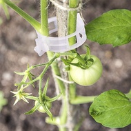Plastic Plant Support Clips 50100Pcs Vine Tomato Stem Vegetable Fixing Clip Garden Greenhouse Accessories 30mm Plant Clips