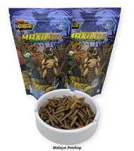 Maggot Barca (Maximal Progress Organic Feed)(Makanan Ikan Channa & Ikan Predator lain)(Makanan Tamba