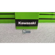 223AA0514 Pulcer Stator Screw Pan KLX150 5x14