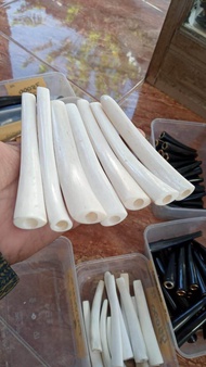 Once pirok tulang iga duyung panjang 12cm