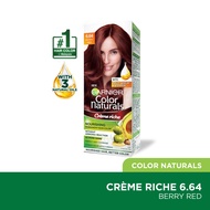 GARNIER HAIR COLOR Color Naturals 6.64 Berry Red 1s