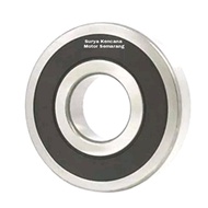 Bearing bearing 6204