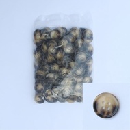 (400 Pcs) Striped Buttons 28 L (18 Mm) | Horn Button 01