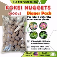 KOKEI NUGGET FERTILIZER FOR LOTUS & WATER LILY ( 800 g ) BAJA POKOK TUMBUHAN AIR