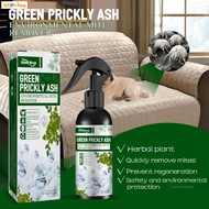 Alloving Dust Mite Spray Green Prickly Ash Environment Mite Remover for Allergies &amp; Cleaning in HomeAlloving Dust Mite Spray Green Prickly Ash Environment Mite Remover for Allergies &amp; Cleaning in Home AL-MY