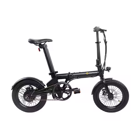 Folding Electric Bike 16 Inch Folding E Bike E Bicycle Electric Bike