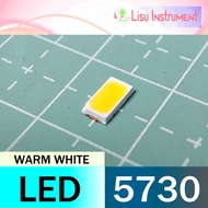 5730 SMD LED SMT SMD WARM WHITE