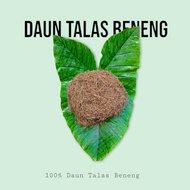 Daun Talas Beneng 100 Gram Grade C.