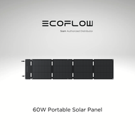 EcoFlow 60W Solar Panel