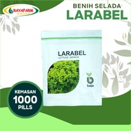 Promo Benih Bibit Selada Larabel 1000 Pills - Bejo Seed Berkualitas