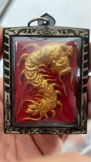 阿贊濕 2564 虎頭蜈蚣 防水殼 泰國佛牌