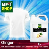 Antibacterial Clothes Sanitizer and Deodorizer Spray (ABCSD) - 75% Alcohol with Ginger - 5L