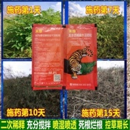 100g 88% 禾厚glyphosate orchard wasteland herbicide glyphosate🇲🇾88%草甘膦果园荒地除草剂