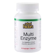 Natural Factors Multi Enzyme 90s