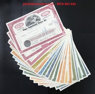 Certificate of Stock - Chứng Nhận Cổ Phiếu Của Công Ty Mỹ kích thước: 310 x 210 mm chất liệu: giấy -