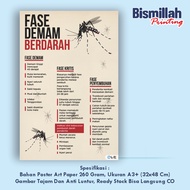 Health Poster for Dengue Fever Phase