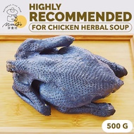 [Miss As]Fresh Black Herbal Chicken 养生整乌鸡农家 500g