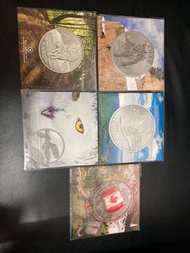 銀幣 錢幣 加拿大版 貓頭鷹 動物
