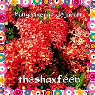 Artificial plant/Decoration THESHAXFEEN -  Bunga Ixora Jejarum