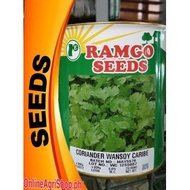 ∏ ◎ CORIANDER / WANSOY / KULANTRO / CILANTRO (250 GRAMS) BY RAMGO