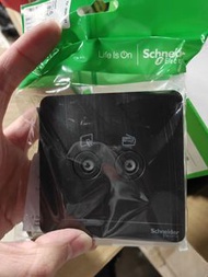 Schneider AvatarOn 雙孔電視插座