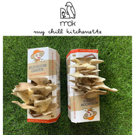 My Mushroom Garden | Grey Oyster Mushroom Grow Kit | Farm to Table | Edible Mushrooms | Sustainable Living | DIY Home Garden | By My Chill Kitchenette