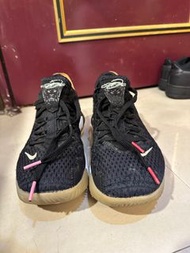 Nike LeBron14low(有鞋盒）