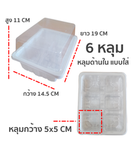 กล่องเพาะเมล็ด อุปกรณ์จัดสวน 6 และ12 หลุม (ฝาครอบใส) เหมาะสำหรับ เพาะกล้า เพาะต้นอ่อน หรือ เพาะเมล็ดแคสตัส (กระบองเพชร)