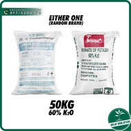 Muriate Of Potash MOP 50kg Potassium Chloride Fertilizer NPK 0-0-60 Baja Tunggal Bunga Buah Baja MOP