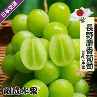 【阿成水果】飽滿多汁 果皮極薄 日本空運長野麝香葡萄 (350g*2串/盒)