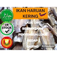 (STOK READY) -- IKAN HARUAN KERING [100 gram]-ikan haruan-ikan air tawar- salted fish-haruan-sawah p
