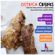 South Ostrich - Crispies Tendon (85g) - single protein dog chew, hypoallergenic