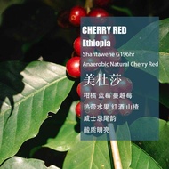 Ethiopia Sidamo Medusa 96 Hours Anaerobic Sun-dried Hand-brewed Single Origin Coffee Beans Mildness