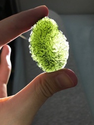 收藏級☄️✨稀有生命之樹圖騰捷克綠隕石原石水晶