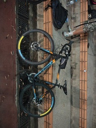 TRINX 鋁合金公路車