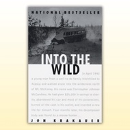 Into the Wild by Jon Krakauer [Used book] [11th Hour Bookshop]